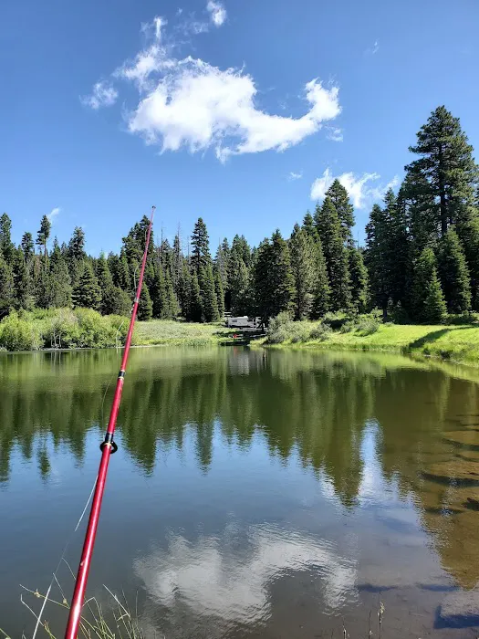 Stough Reservoir Campground Picture 1