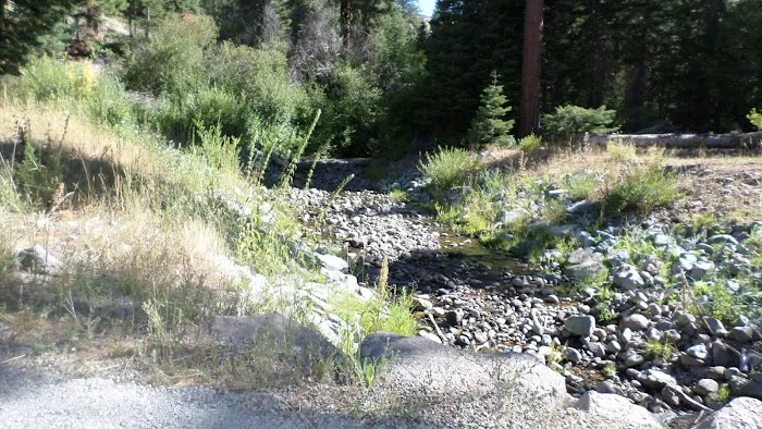Cedar Pass Campground Picture 6
