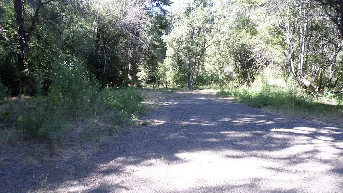 Cedar Pass Campground Picture 5