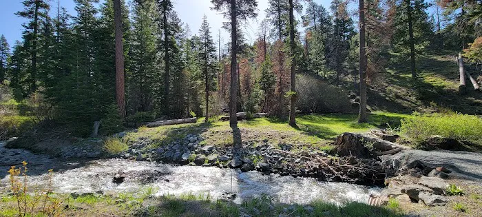 Cedar Pass Campground Picture 1