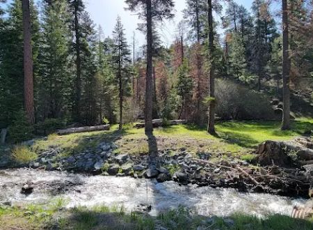 Cedar Pass Campground