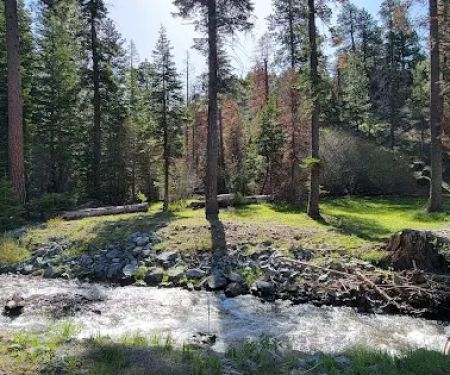 Cedar Pass Campground