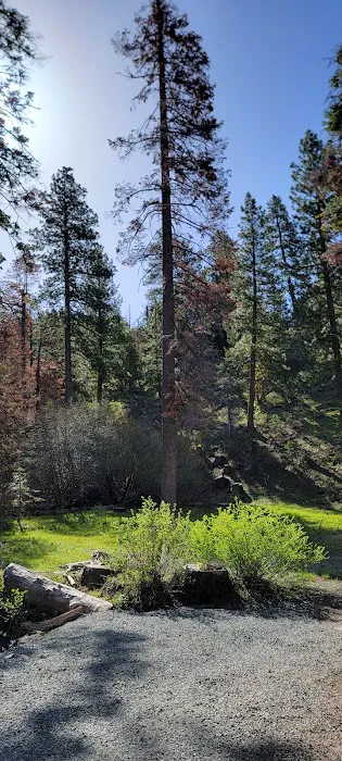 Cedar Pass Campground Picture 2