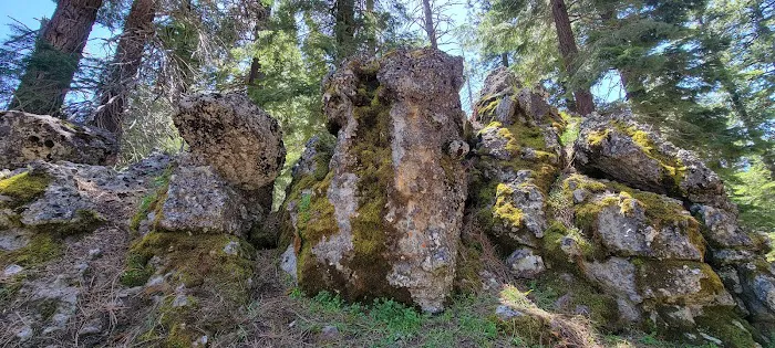 Cedar Pass Campground Picture 9