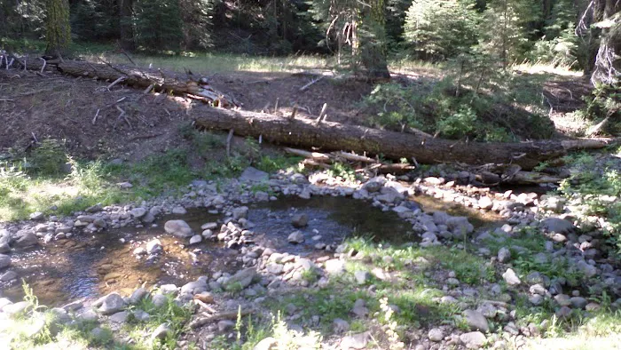Cedar Pass Campground Picture 3
