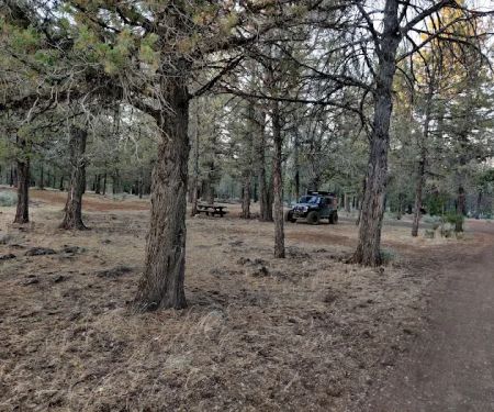 Campground Reservoir F