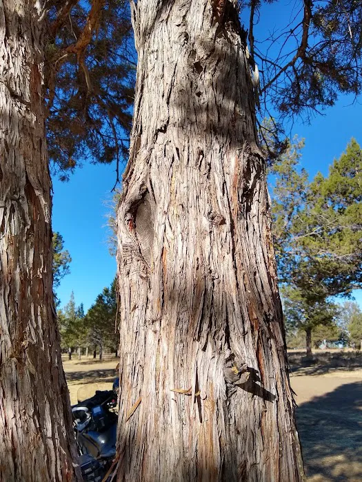 Big Sage Campground Picture 6