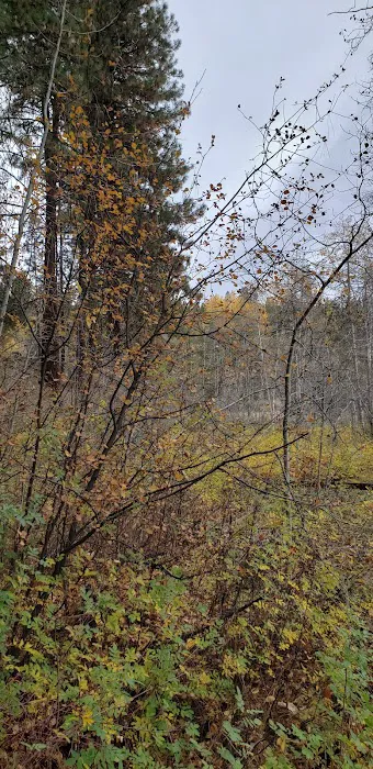 Howards Gulch Campground Picture 3