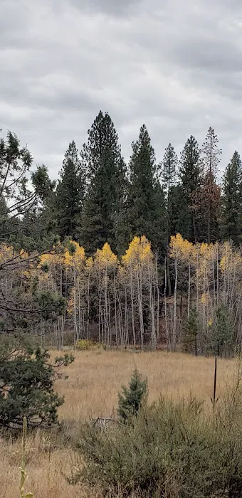 Howards Gulch Campground Picture 2
