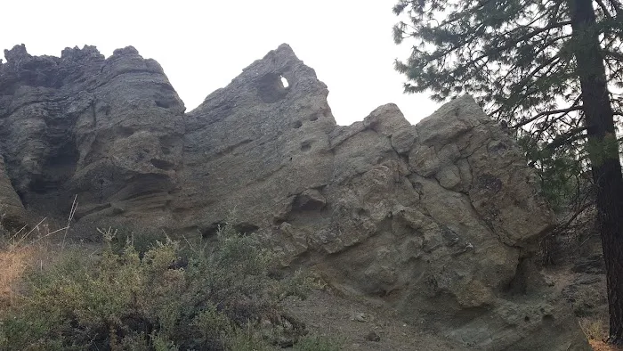 Howards Gulch Campground Picture 5