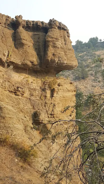 Howards Gulch Campground Picture 6