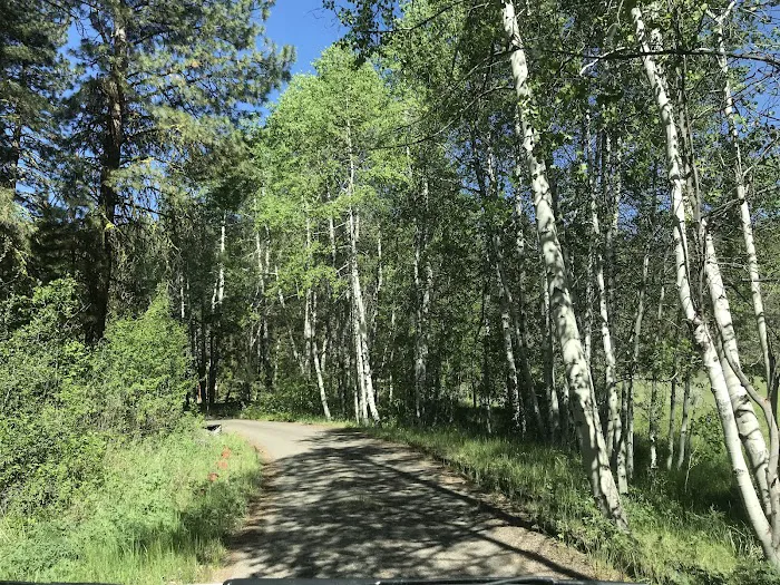 Howards Gulch Campground Picture 10