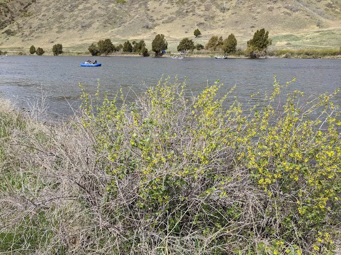 Red Mountain Campground Picture 3