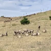 Log Gulch Campground - U.S. Bureau of Land Management ico