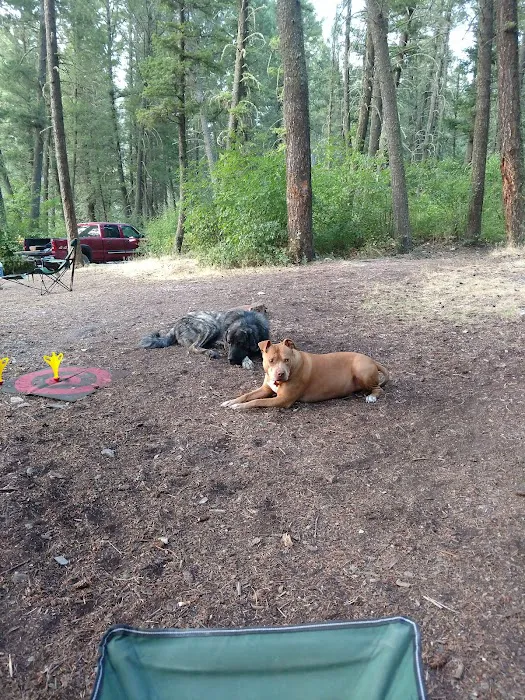 Vigilante Campground Picture 1
