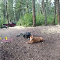 Vigilante Campground ico