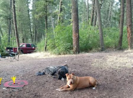 Vigilante Campground