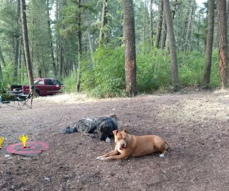 Vigilante Campground
