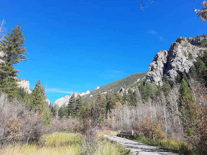 Vigilante Campground Picture 4