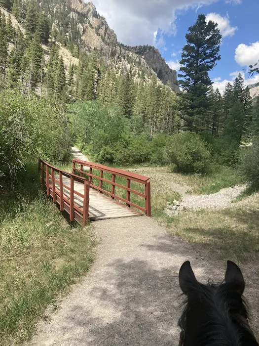Vigilante Campground Picture 9
