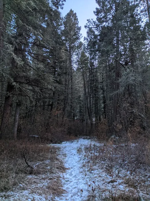 Vigilante Campground Picture 3
