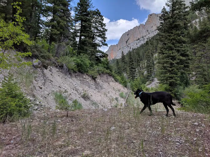 Vigilante Campground Picture 5