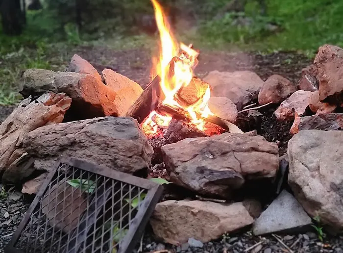Pike Gulch Campground Picture 5