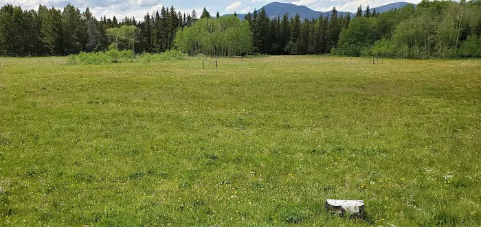 Pike Gulch Campground Picture 7
