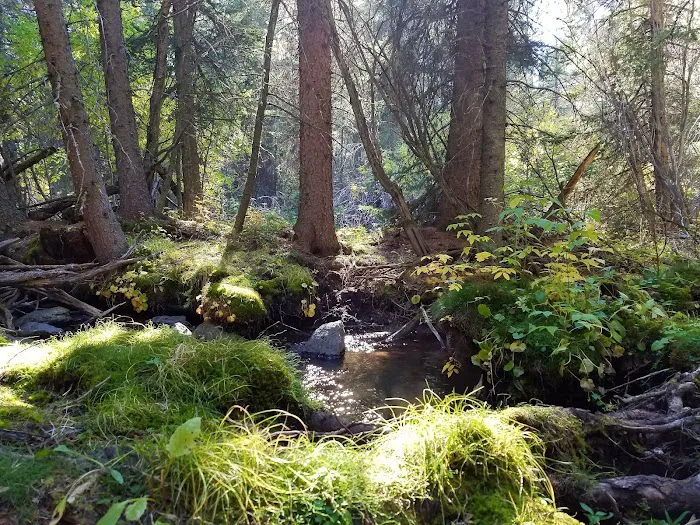 Pike Gulch Campground Picture 10