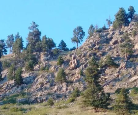 Holter Lake Campground - U.S. Bureau of Land Management