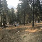 Survey Creek Campground