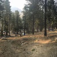 Survey Creek Campground ico