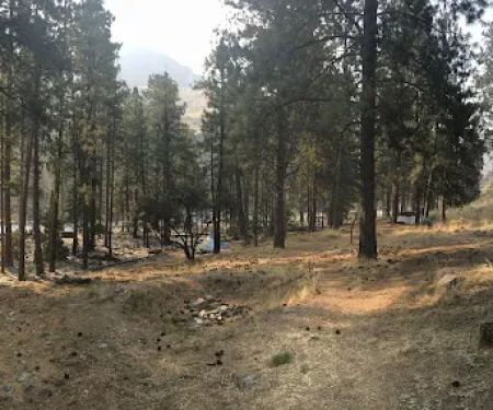Survey Creek Campground
