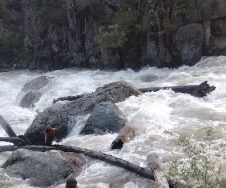 Rattlesnake Creek Campground