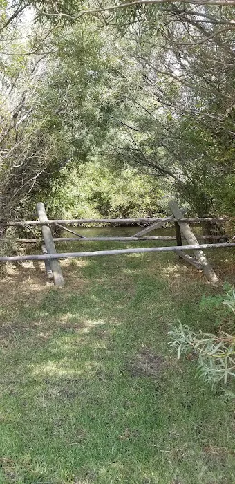 McFarland Campground Picture 4