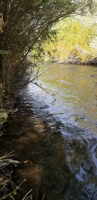 McFarland Campground Picture 5