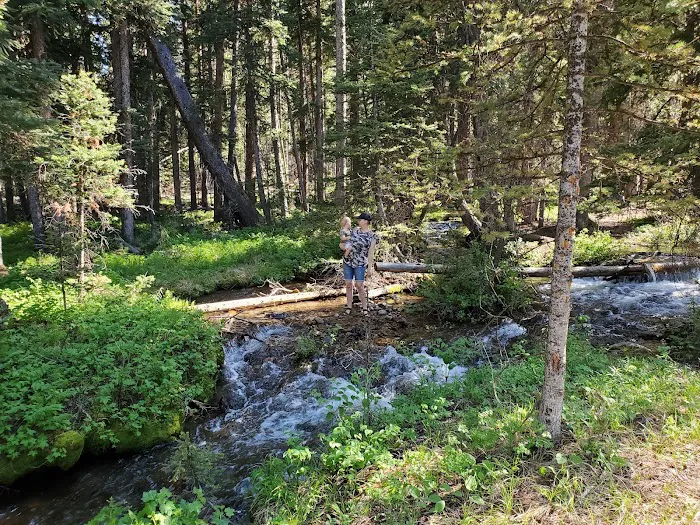 Big Eightmile Campground Picture 8
