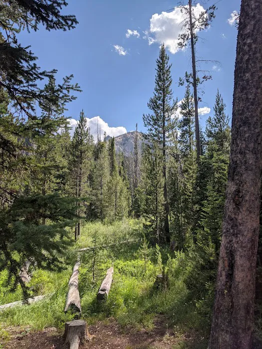 Iron Creek Campground Picture 1