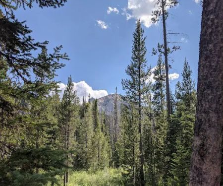 Iron Creek Campground