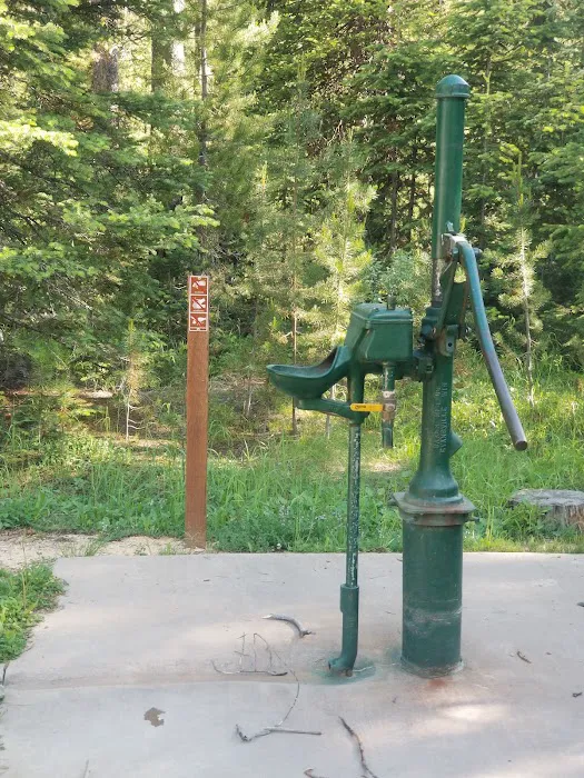 Iron Creek Campground Picture 4