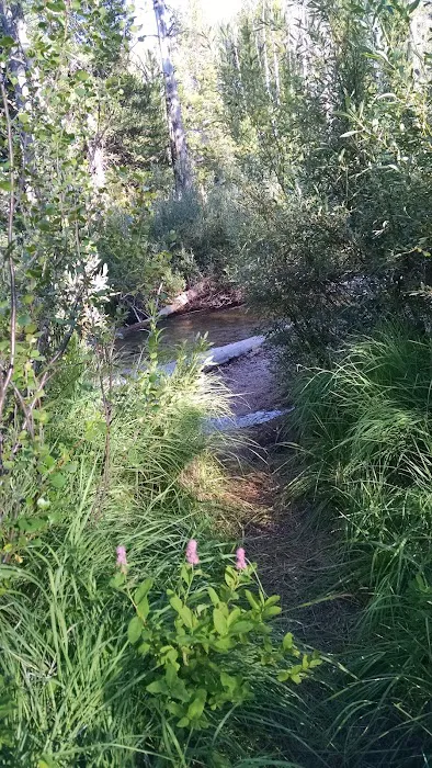 Iron Creek Campground Picture 8