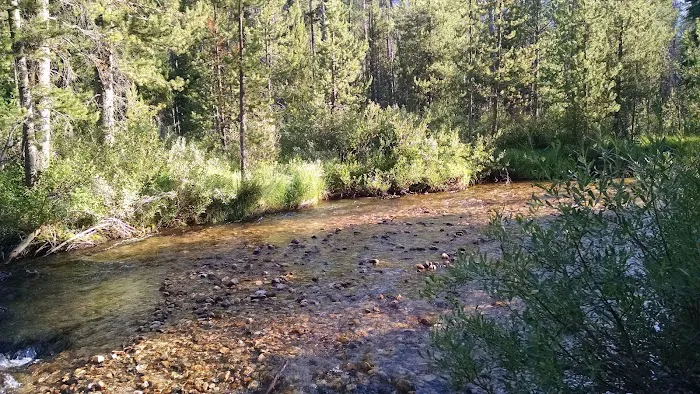 Iron Creek Campground Picture 7