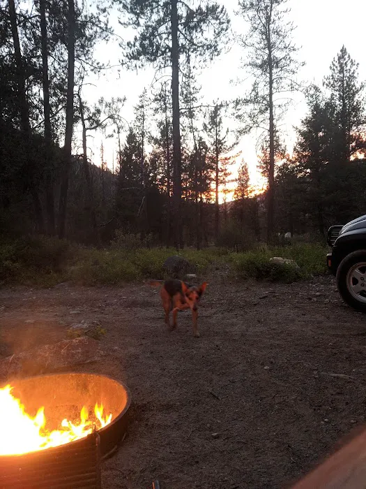 Grandjean Campground Picture 8