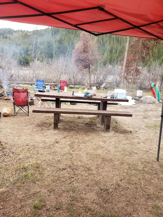 Salmon River Campground Picture 5