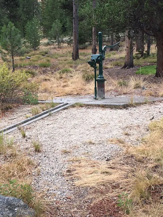 Riverside Campground Picture 3