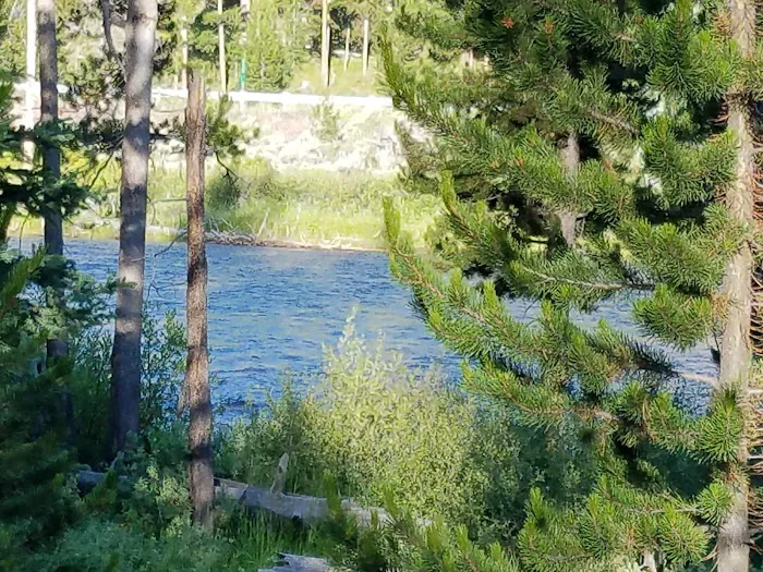 Casino Creek Campground Picture 6