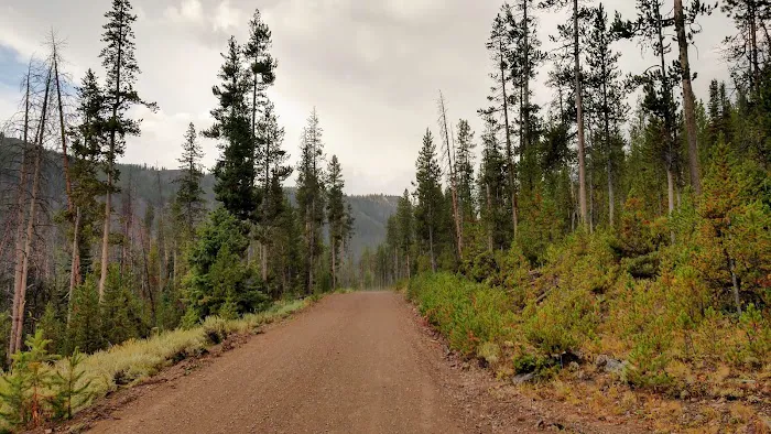 Eightmile Campground Picture 8