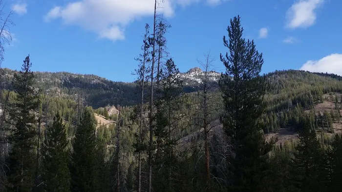 Eightmile Campground Picture 3