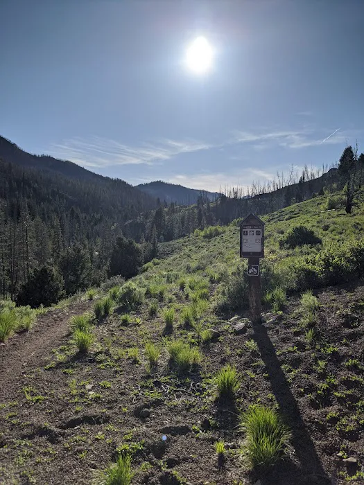 West Fork Campground Picture 1