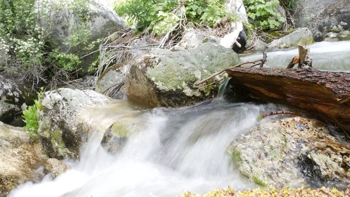 Trail Creek Campground Picture 3